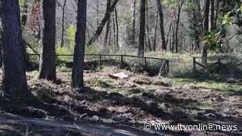 Atripalda, raccolte 300 firme: lo scempio di Parco S. Gregorio finisce in Procura - Irpinia TV