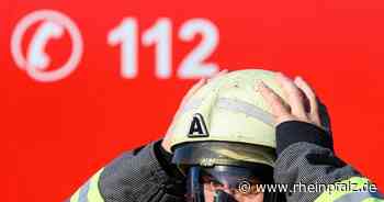 Brand auf Friesenheimer Insel - Rheinpfalz.de