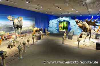 BriMel unterwegs: Tags im Museum – Eiszeit-Safari - Mannheim - Wochenblatt-Reporter