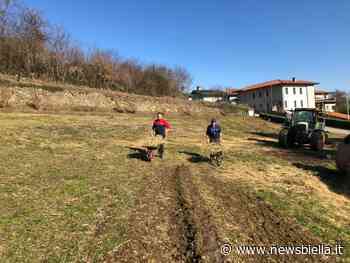 Anffas, ospiti all'opera nell'orto. Presto arriverà a Salussola il pollaio - newsbiella.it