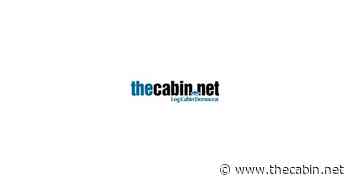 Dogs from Malvern Animal Shelter receive lifesaving transport - Log Cabin Democrat