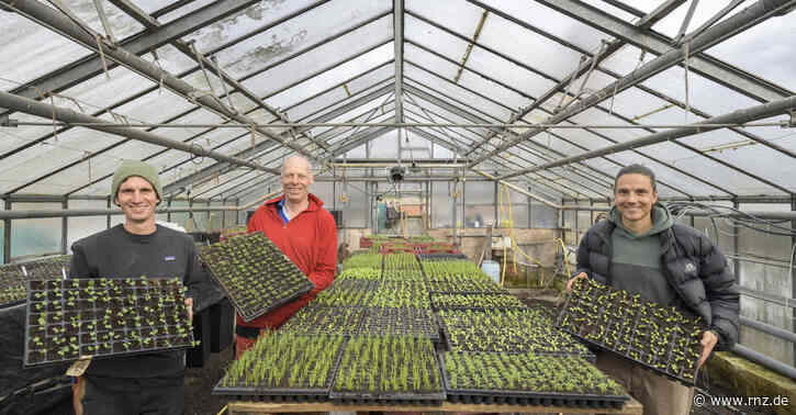 Heidelberg:  Im Saubad wird Gemüseanbau neu erfunden