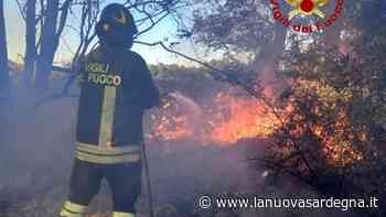 Alghero, incendio a San Marco: le fiamme lambiscono un'azienda agricola - La Nuova Sardegna