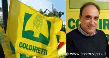 San Marco Argentano, lunedì 28 febbraio networking di Coldiretti Calabria - Cosenza Post