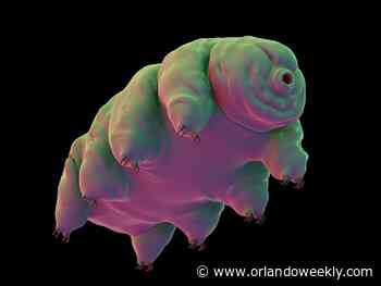 Free Will Astrology: Your horoscope for the week of Feb. 2-9 - orlandoweekly.com