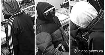 Manitoba RCMP looking for Dauphin robbery suspects - Global News