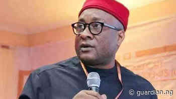 Travellers Awards: Onyema, Nuhu, others make final list in aviation category - Guardian