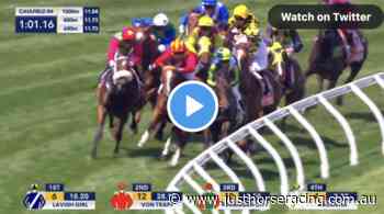 Angus Armanasco Stakes results and replay – 2022 - Just Horse Racing