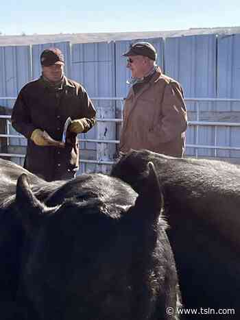 Koupal Angus annual Bull Sale | TSLN.com - Tri-State Livestock News