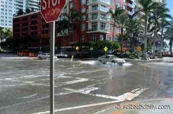 U.S. Government Report: Sea Level To Rise Up to a Foot by 2050