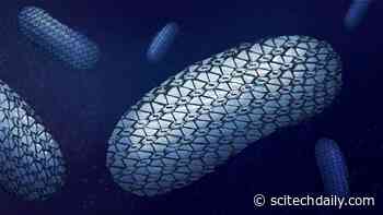 Spectacular Chain-Mail Structure: The Protective Armor of Superbug C. difficile Revealed