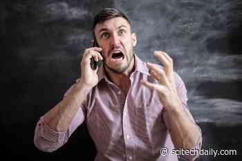 Junk Food and the Brain: How Modern Diets Lacking in Micronutrients May Contribute to Irritability and Anger