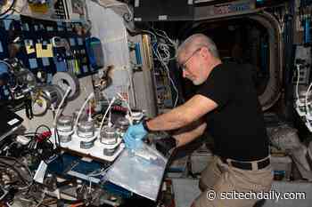 Space Station Research Looks at Skin Cells, Plant Genetics and Exercise