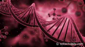 Weird DNA Structures May Drive Cancer Development