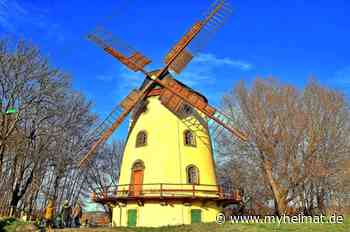 Windmühle in Dresden-Gohlis ( HDR ) - Dresden - myheimat.de