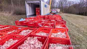 Mehrstündige Bergung: Laster mit zwölf Tonnen Fleisch bei Bamberg umgekippt - Nordbayern.de