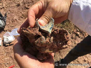 Scientists hunt for remains of earth’s ‘lost continent’