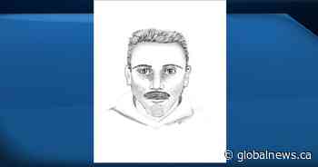 Edmonton police search for suspect who stabbed man walking with 2 children - Globalnews.ca