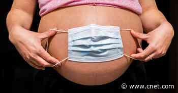What to Know About Getting COVID While Pregnant     - CNET