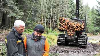 Im Dobler Wald unterwegs: Haupteinschlagszeit - Geduld wird von Spaziergängern gefordert