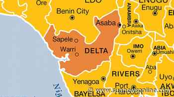 Delta: Council vice chair, 3 others jailed for alleged assault of police officers – The Sun Nigeria - Daily Sun