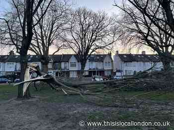 Storm Eunice causes havoc in West London- Sasha Sofat, St Catherines School