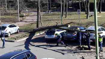 Vento a Saronno, tecnici ancora al lavor per riparare i danni - Il Giorno - IL GIORNO