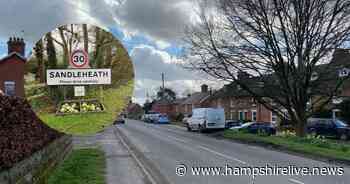 Sandleheath: The village that encapsulates everything great about the New Forest - Hampshire Live