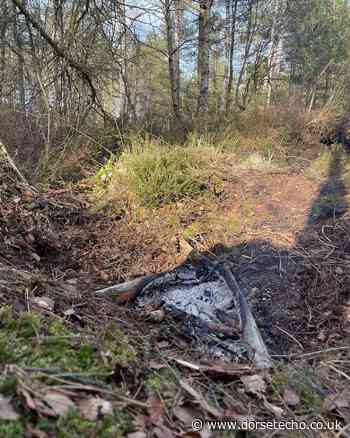 Fire crew sent to put out campfire in Wareham Forest - Dorset Echo