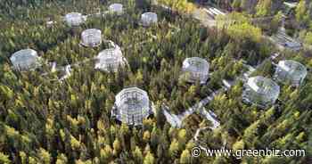 Across the boreal forest, scientists are tracking warming's tragic toll | Greenbiz - GreenBiz