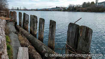 Forest Practices Board: Protect BC watersheds - constructconnect.com - Daily Commercial News