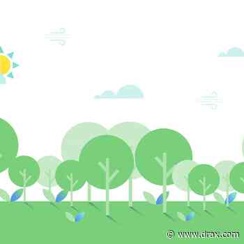 What is sustainable forest management? - Drax Global - Drax Group