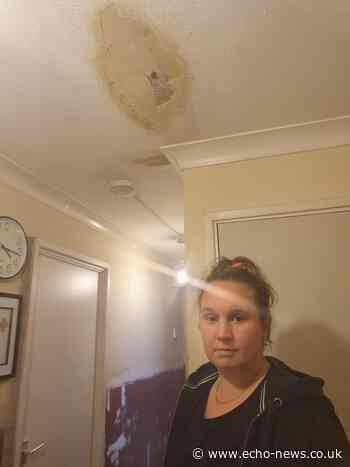 Basildon Council raising cost of rent but freezes council tax - Echo