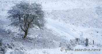 Heavy snow predicted to hit part of Essex today following Storm Franklin - Essex Live