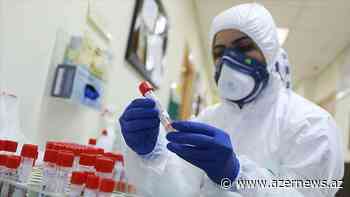 Georgia reports over 4,800 coronavirus cases - AzerNews