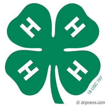 MacKenzie Scott donates $50 million to National 4-H Council - Drgnews