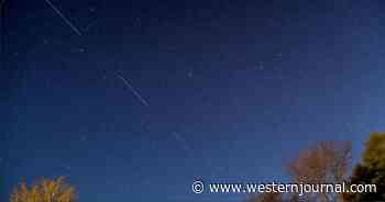 Starlink Activated Over Ukraine, Citizen-Defenders Now Have Access to Satellites