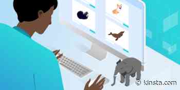 8 Best MAMP Alternatives in 2022