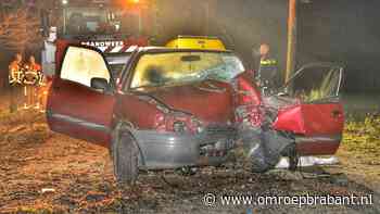 Man (28) overleden na botsing met auto tegen boom in Hoogeloon - Omroep Brabant