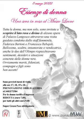La festa della donna a Vercelli al Museo Leone e al MAC - Cronaca Torino