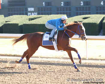 Dash Attack Has Final Oaklawn Drill For Rebel Stakes - Horse Racing News - Paulick Report