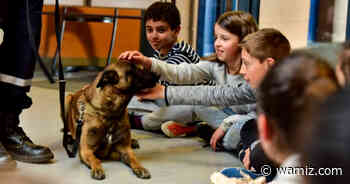 L'école de Villejust sensibilise les enfants aux morsures canines - wamiz.com