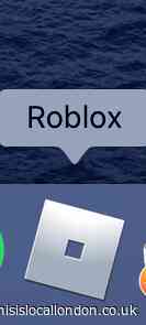 Interview with an active Roblox gamer