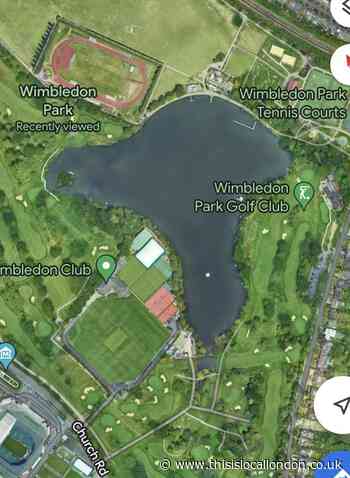 The battle for green space in Wimbledon.  Sharanya Narasimhan, Wimbledon High School