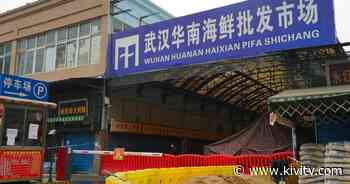 New studies provide additional evidence that the coronavirus originated in Wuhan market - 6 On Your Side