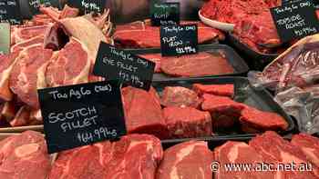 Can't afford meat? Experts warn cutting out meat could be dangerous