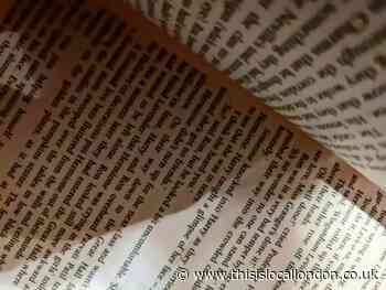An Authors effect on their book- Zahra Modan