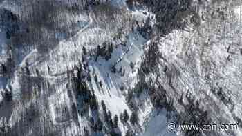 One person, two dogs killed in Colorado avalanche