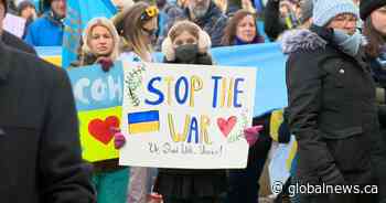Hundreds show support for Ukraine at Saskatoon City Hall