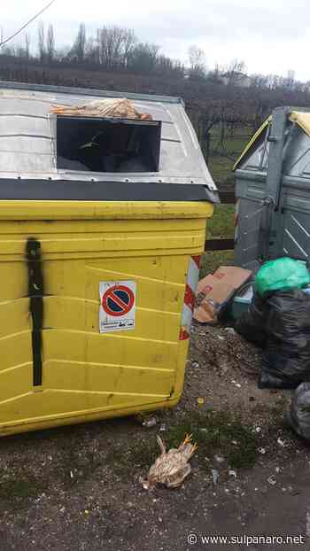 Da oggi vengono tolti i cassonetti dalle strade di Soliera - SulPanaro | News - SulPanaro